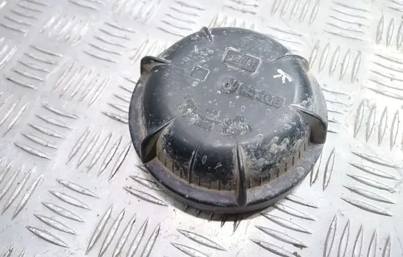 Headlight/headlamp dust cover