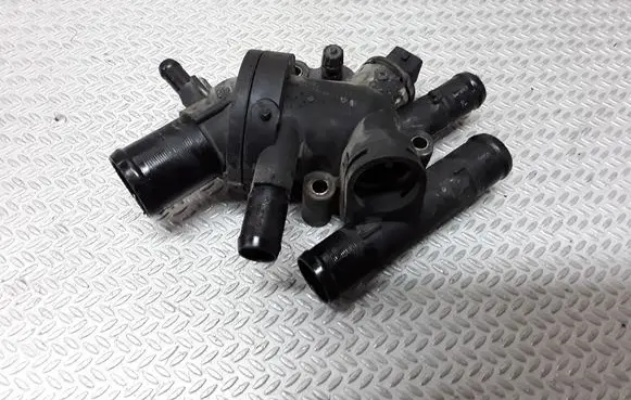 Thermostat/thermostat housing