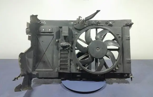 Citroen C4 II Electric radiator cooling fan 9801875380
