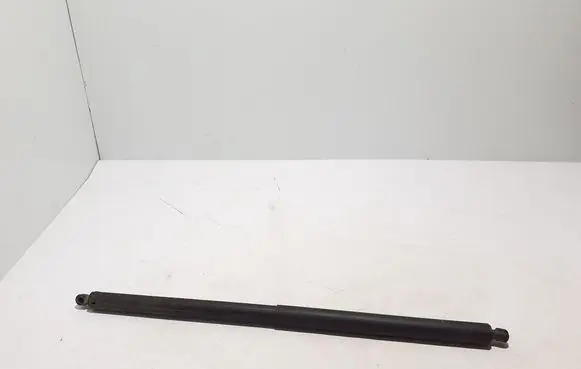Tesla Model X Tailgate strut 112969800B