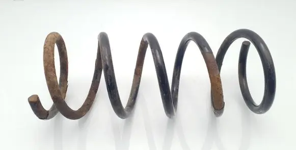 Rear coil spring