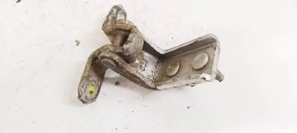 Rear door lower hinge