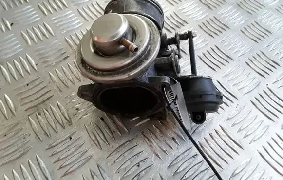 Skoda Octavia Mk2 (1Z) EGR valve 03G131501A 197416046 036129637