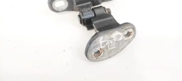 Volvo S40 Rear door lower hinge