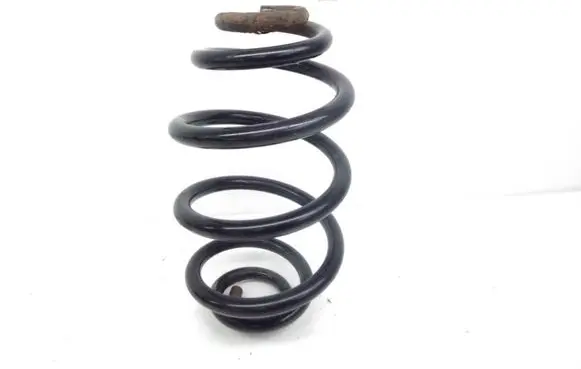 Volkswagen PASSAT B5.5 Rear coil spring