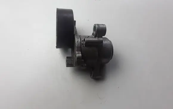 Ford Focus Timing belt tensioner 1014902