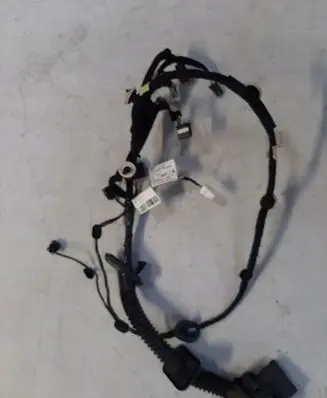 Front door wiring loom