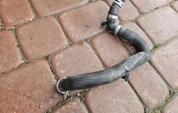 Renault Megane IV Engine coolant pipe/hose 924105464R