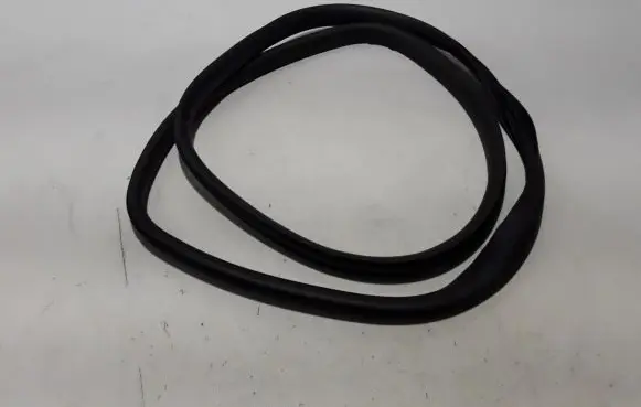 Renault Austral Rear door rubber seal (on body) 769233185R