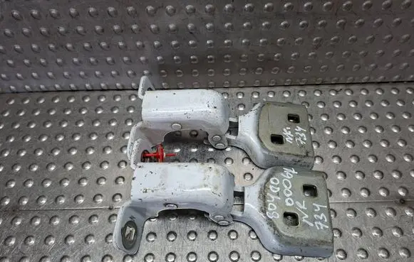 Renault Master III Front door lower hinge S26309734 804000006RD