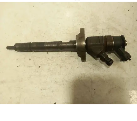 Citroen C4 I Fuel injector 0445110297