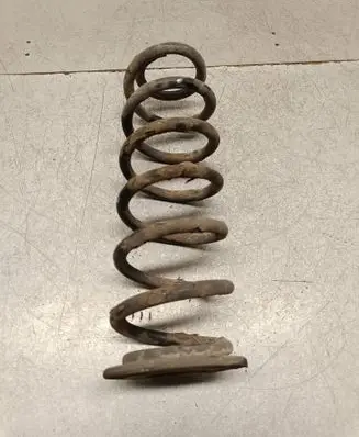 Rear coil spring