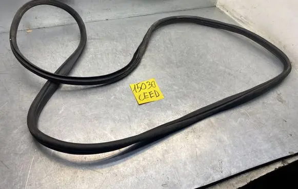 KIA Ceed Rubber seal front door (on door) 