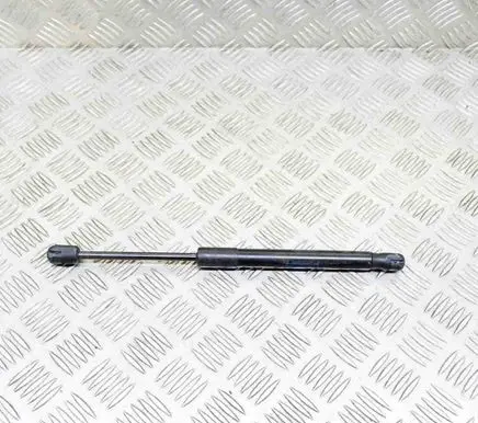 Ford Mustang VI Tailgate/trunk strut/damper FR3B63406A10AB