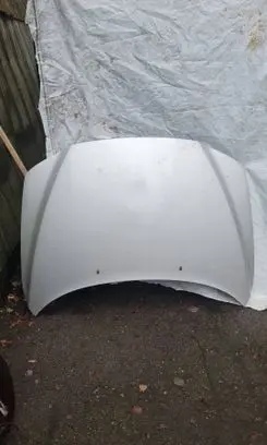 Engine bonnet/hood