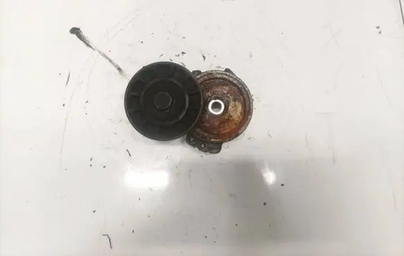 Peugeot Partner Generator/alternator belt tensioner