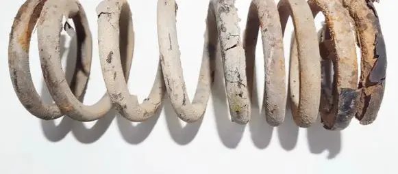 KIA Carnival Rear coil spring