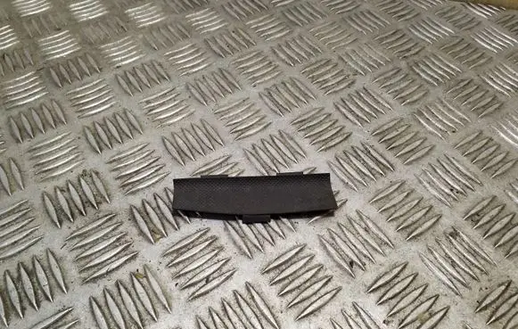 Tesla Model S Other front door trim element 100296600B