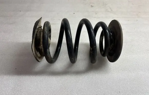 Rear coil spring