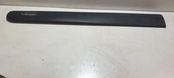 Front door trim (molding)