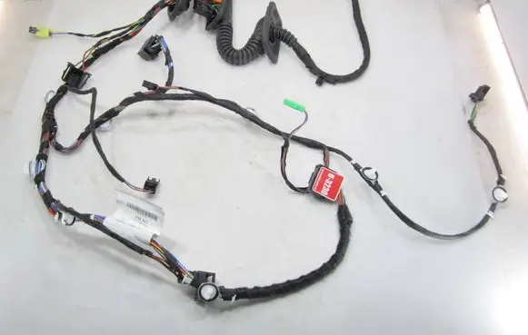 Front door wiring loom