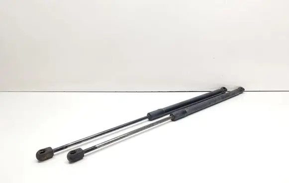 BMW X1 E84 Tailgate/trunk strut/damper 2990136 51242990136