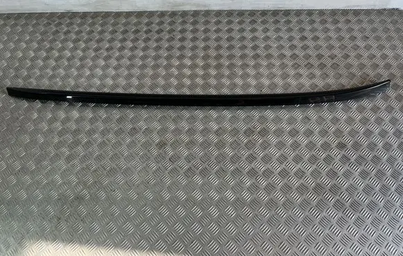 Toyota RAV 4 (XA50) Roof bar rail 6240442010