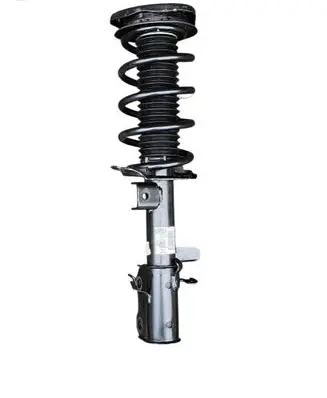 Ford Escape IV Front shock absorber/damper LX6118K001NEG