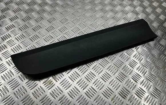 Rear door trim (molding)