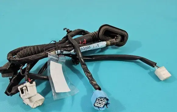Rear door wiring loom