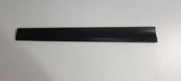 Front door trim (molding)