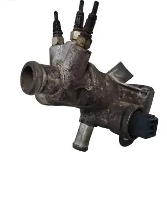 Thermostat/thermostat housing