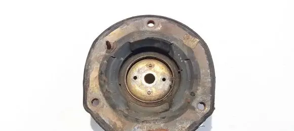 Coil spring mount