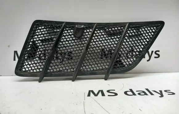 Mercedes-Benz GL X164 Bonnet/hood grill A1648800105 1648800105