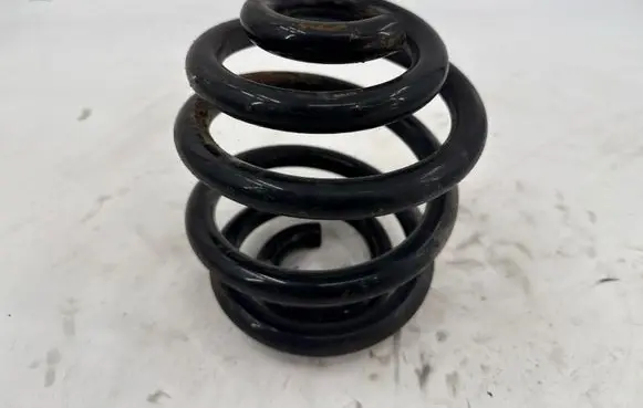 Rear coil spring