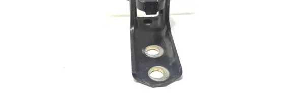 Rear door lower hinge