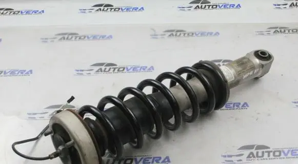 BMW M6 Rear shock absorber with coil spring 2283993