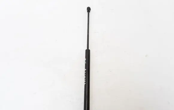 Tailgate strut