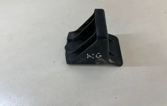 Rear door check strap stopper