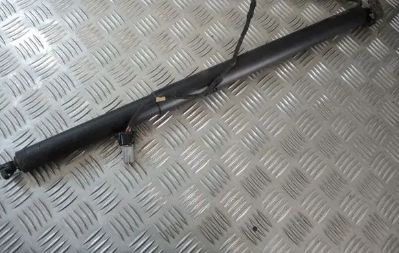 Ford Kuga III Front shock absorber/damper LV4BS402A54ABKUGA