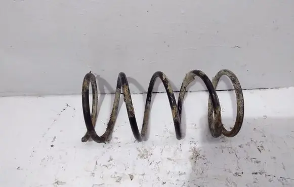 KIA Carens I Front coil spring