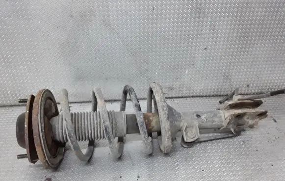 Hyundai Santa Fe Front shock absorber with coil spring