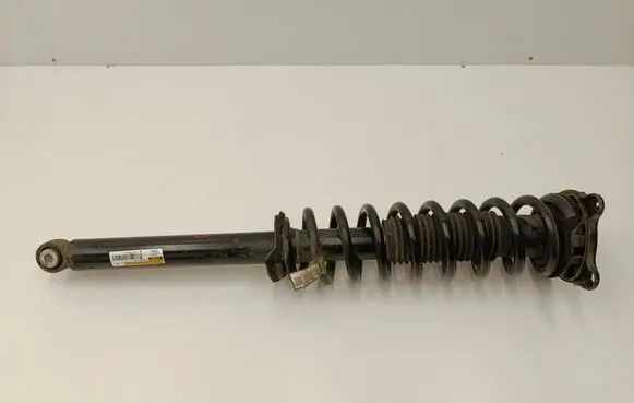 Tesla Model S Rear shock absorber/damper 101562001C 160120563