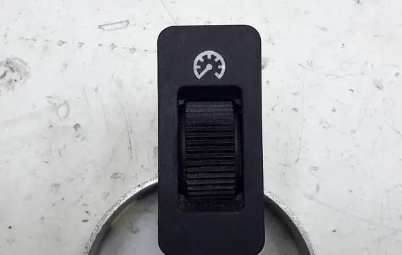 BMW M5 Interior lighting switch 61318360461