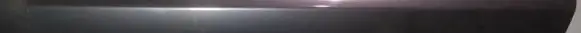 Honda Accord Front door glass trim molding 