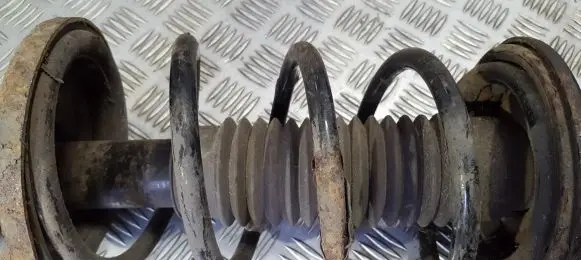 Suzuki Liana Rear coil spring