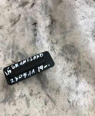 Opel Grandland X Tailgate opening switch 9827560380