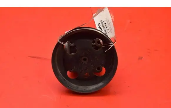 Suzuki Grand Vitara II Power steering pump 4910067J00