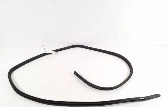 Nissan Leaf II (ZE1) Rear door rubber seal (on body) 769233NA1B