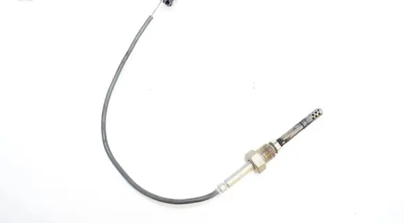 Porsche Cayenne (92A) Oil temperature sensor 31431050 1444052309889